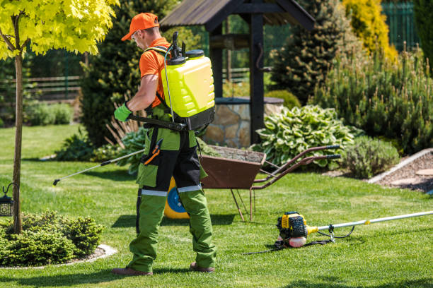 Lawn Pest Control in Lexington, WA